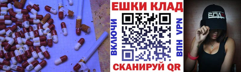 Экстази диски  где купить наркоту  Новопавловск 