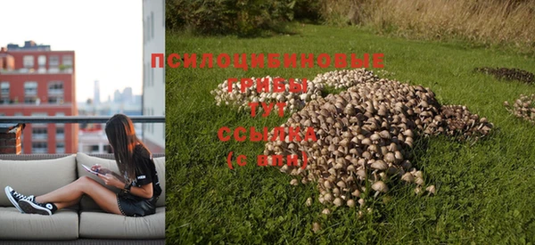 трава Горняк