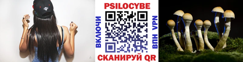 Псилоцибиновые грибы Cubensis Новопавловск