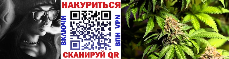 MEGA tor  Новопавловск  Шишки марихуана VHQ 
